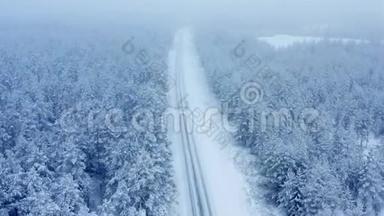 沿着一条空旷的道路飞，在平静的雪中飞过雪杉，松树变成雪云。 风景优美。 童话冬季森林，